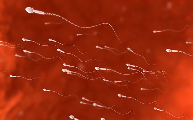 human-sperm_2794814b
