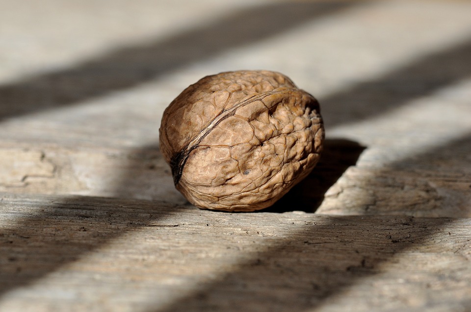 walnut-658569_960_720